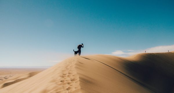 holly-mandarich-duq_b5-unhw-unsplash