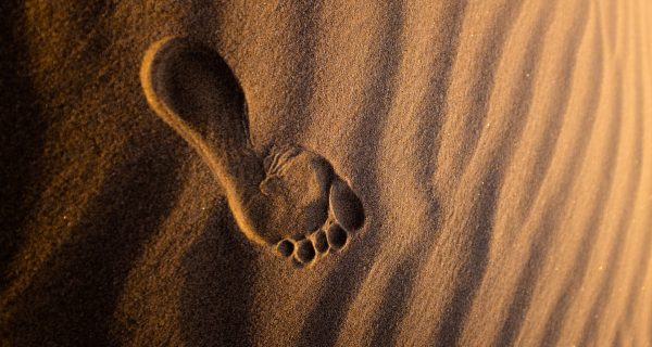 jeremy-bishop--mMEEkgj5fU-unsplash